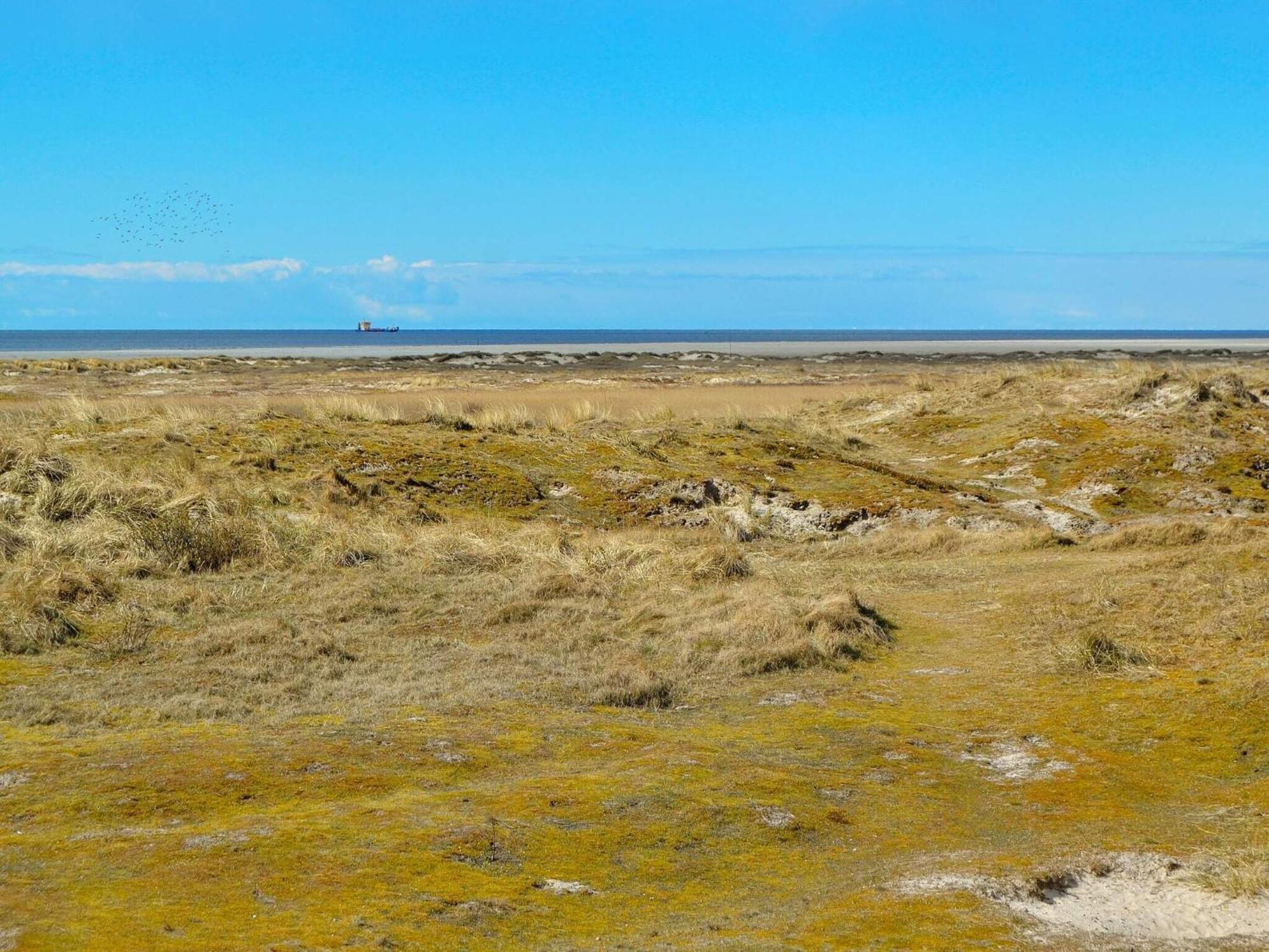 4 Person Holiday Home In Fan Fanø Exteriör bild
